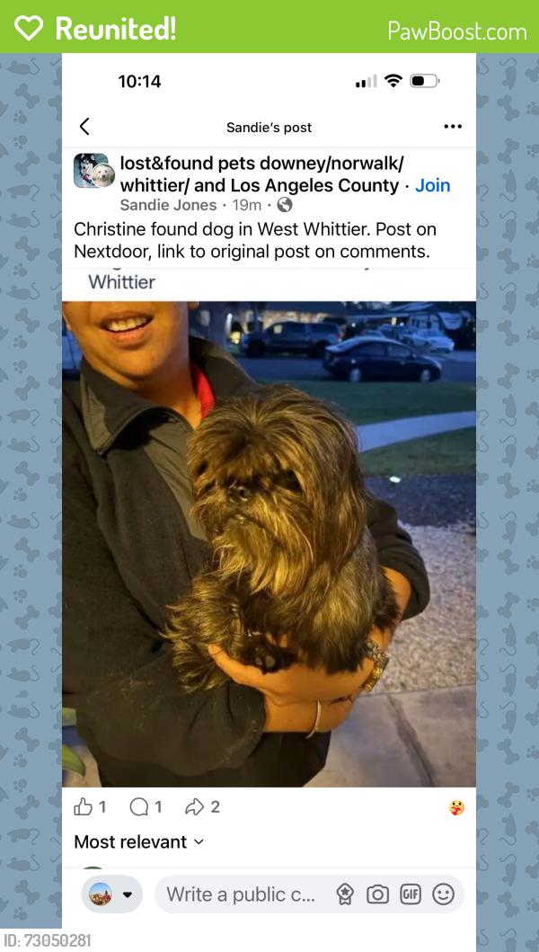 Reunited Male Dog last seen Loch Lomond and Norwalk in Whittier , Whittier, CA 90606