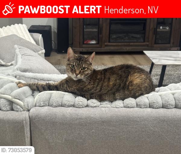 Lost Female Cat last seen Athens and lake mead parkway, Henderson, NV 89015