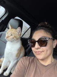 Lost Male Cat last seen Cynthia, Pomona, CA 91766