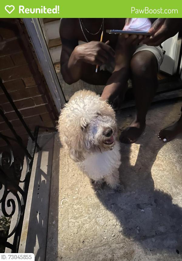 Reunited Unknown Dog last seen Bergen , Newark, NJ 07112