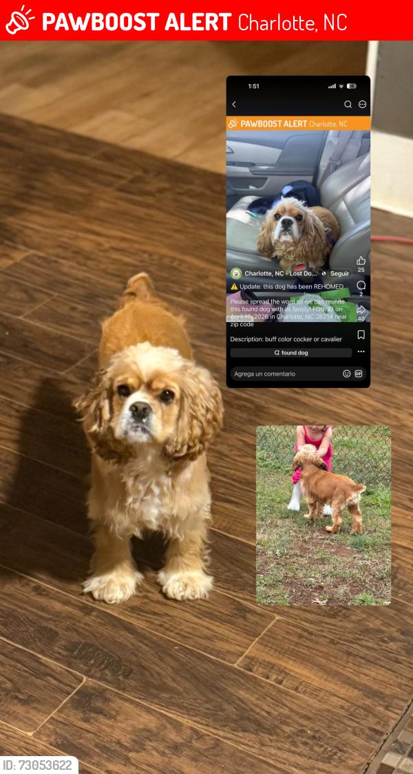 Lost Female Dog last seen Mooreschapel, Charlotte, NC 28214