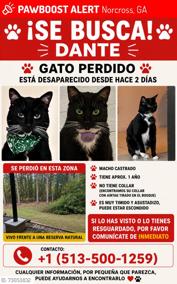Lost Male Cat last seen Beaver Ruin Road, Norcross, GA 30093