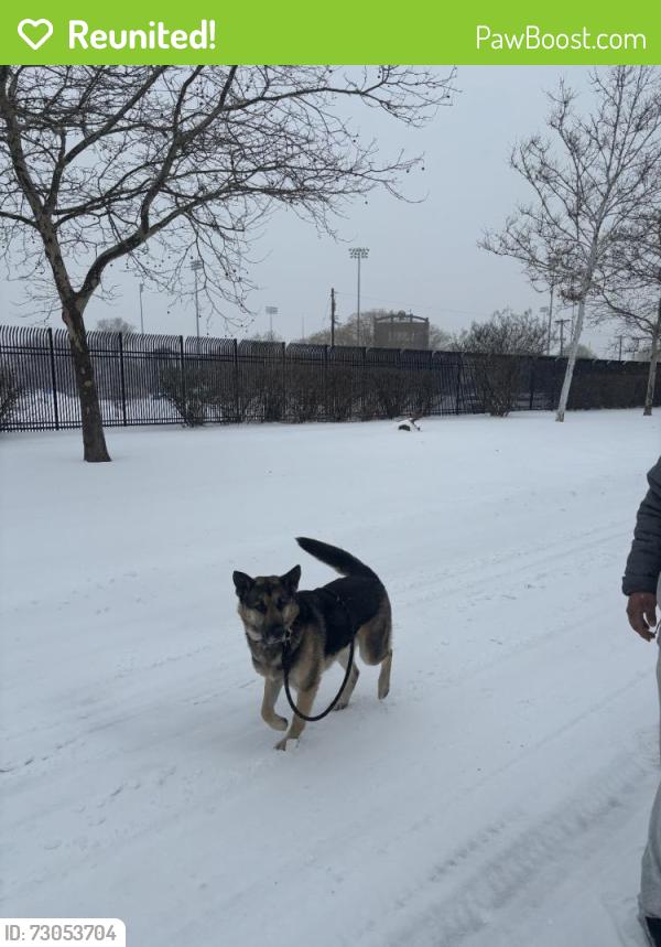 Reunited Male Dog last seen Liberty St, Trenton, NJ, USA, Trenton, NJ 08610