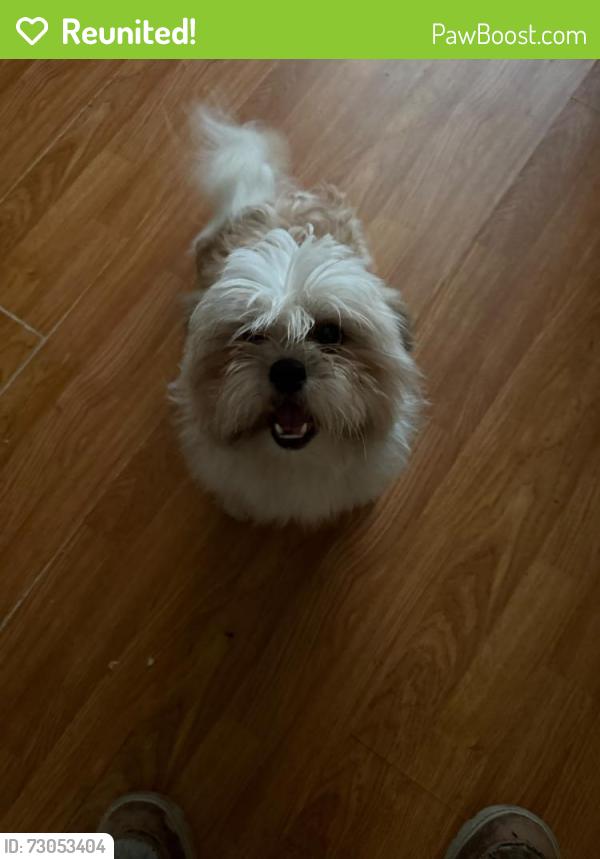 Reunited Male Dog last seen Kester, Los Angeles, CA 91411