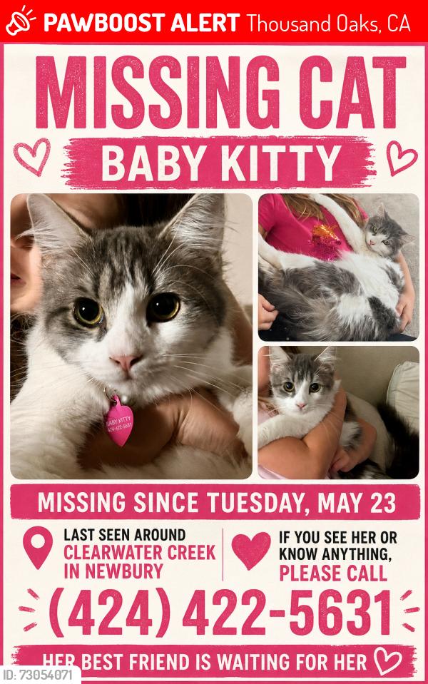 Lost Female Cat last seen Clearwater creak Newbury park, Thousand Oaks, CA 91320