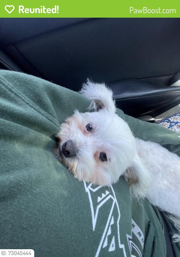 Reunited Female Dog last seen  Sears Ave, San Diego, CA 92114, USA, San Diego, CA 92114