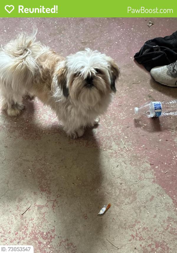 Reunited Male Dog last seen Kester Ave, Los Angeles, CA 91411