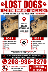 Lost Male Dog last seen Midway, lone star, Middleton, Rosevelt, Nampa, ID 83651