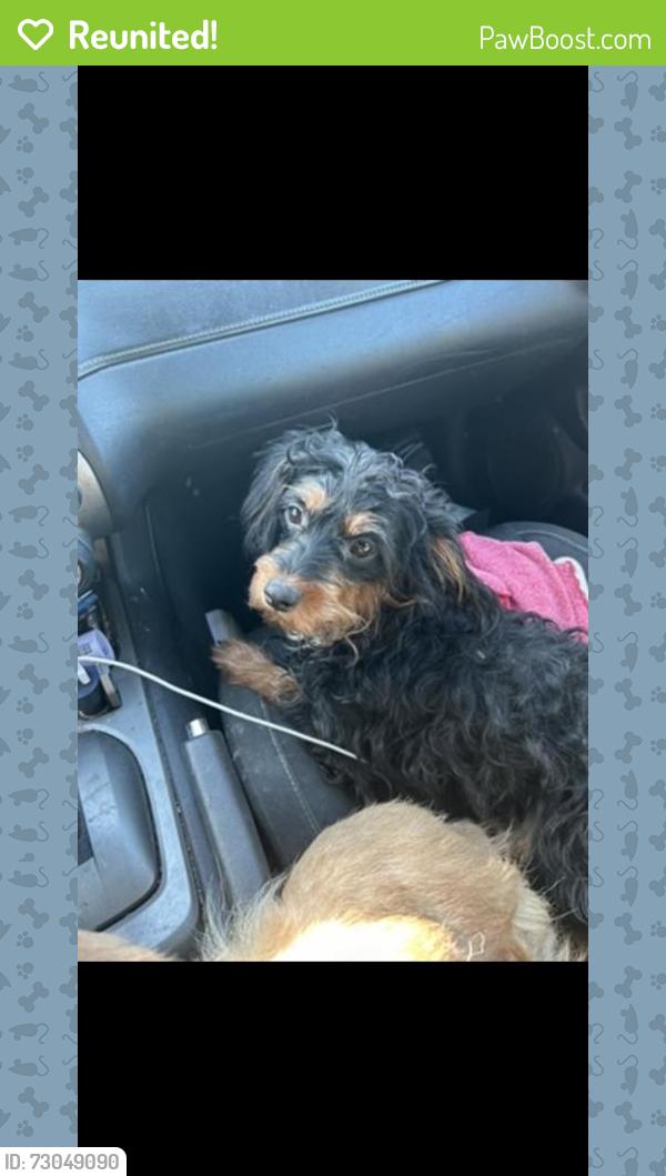 Reunited Female Dog last seen N Lugo Ave, San Bernardino, CA, USA, San Bernardino, CA 92405