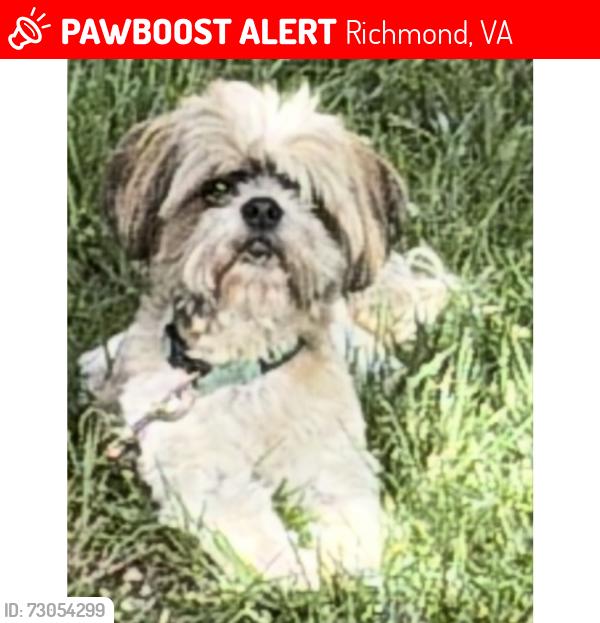 Lost Male Dog last seen Oakland cemetery , Richmond, VA 23223