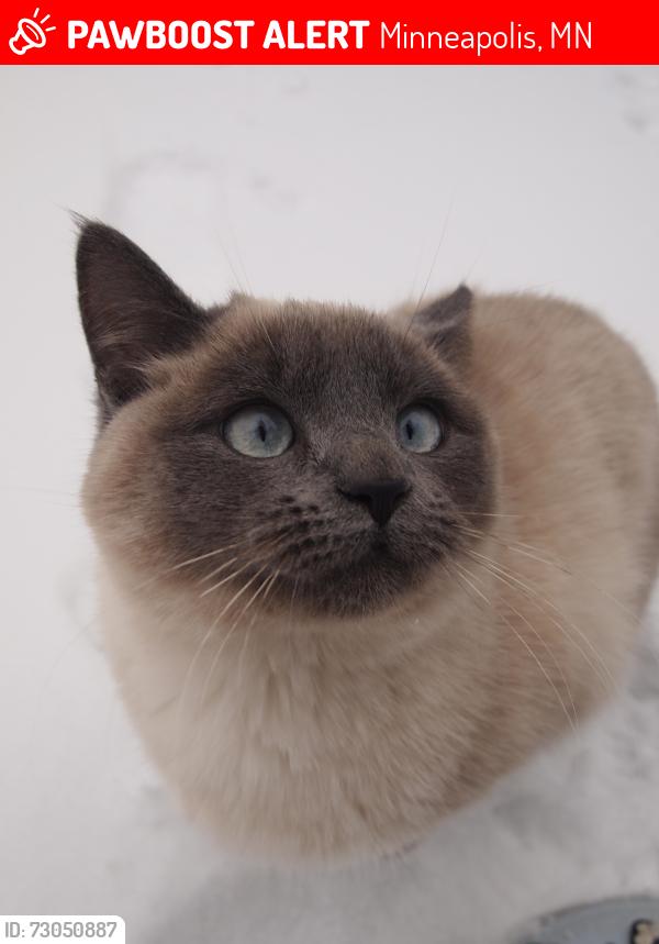 Lost Female Cat last seen 44th Ave Ne 55421, Minneapolis, MN 55421