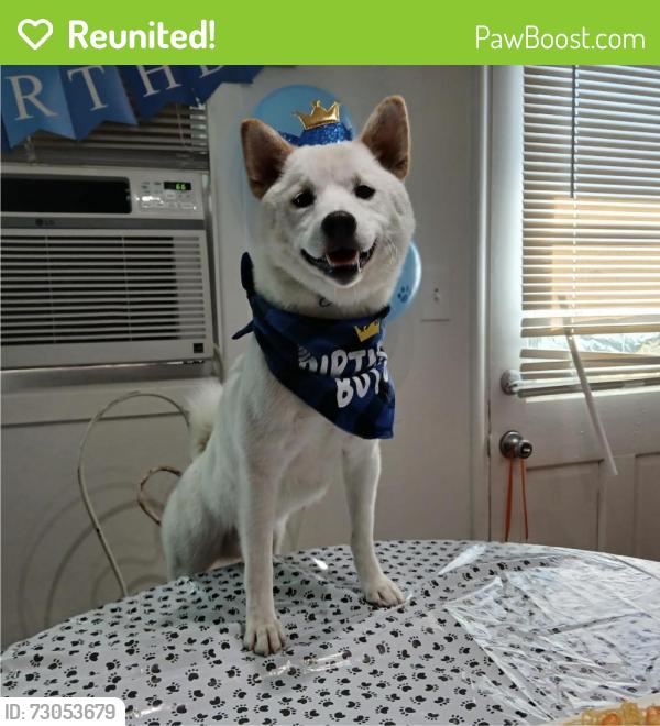 Reunited Male Dog last seen Euclid, Ontario, CA 91762