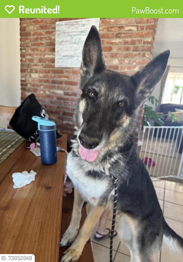 Reunited Female Dog last seen Tonawanda rd, Apple Valley, CA 92307