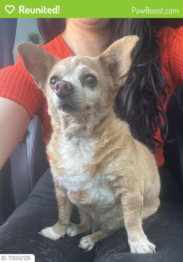 Reunited Unknown Dog last seen Esteban and Carrizo , Santa Clarita, CA 91321