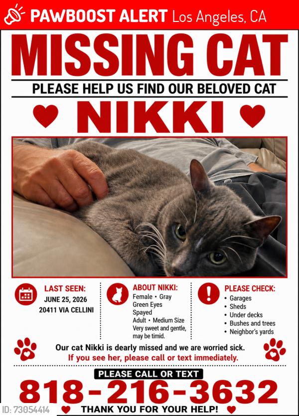 Lost Female Cat last seen The Renaissance, Los Angeles, CA 91326