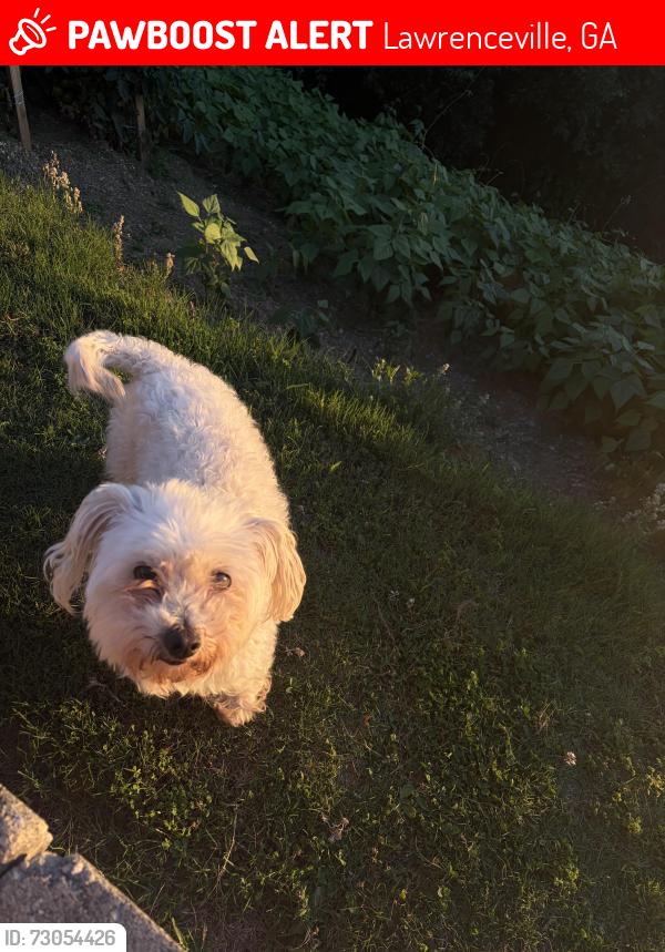 Lost Female Dog last seen Sydney crest lane, Lawrenceville, GA 30046