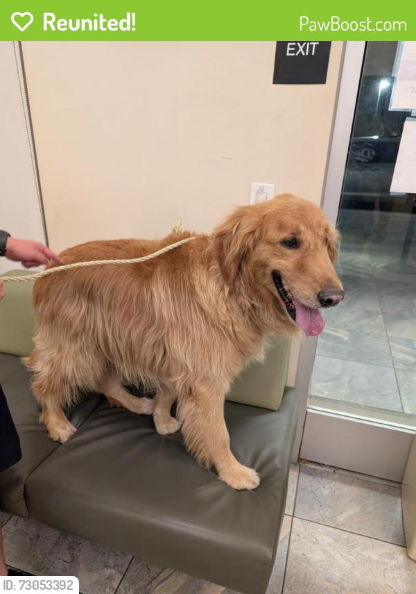 Reunited Male Dog last seen Feathered Serpent Brewery, La Puente, CA 91744