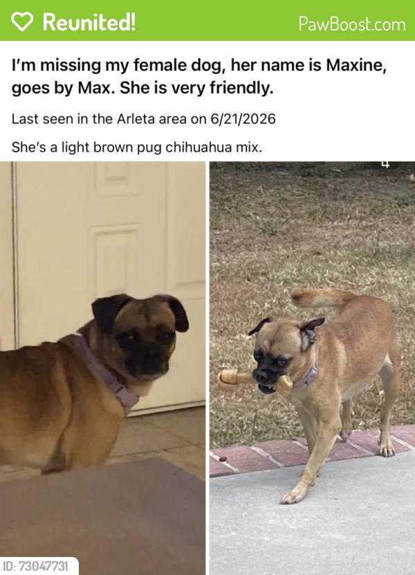 Reunited Female Dog last seen Near Pinney St, Arleta, CA 91331, USA, Los Angeles, CA 91331
