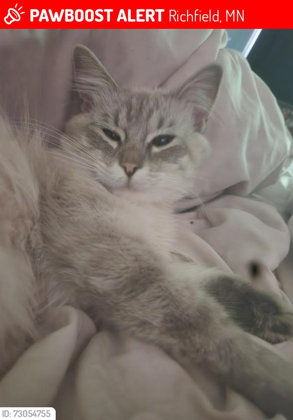 Lost Female Cat last seen 63rd st and Aldrich Ave, Richfield, MN 55423