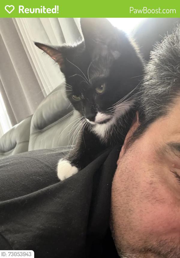 Reunited Female Cat last seen Tamarack , Edmonton, AB T6T 0V7