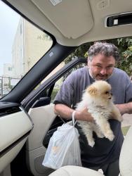 Lost Male Dog last seen Van Nuys , Los Angeles, CA 91496