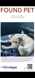 Found/Stray Male Dog last seen Ettrick Park, Ettrick, VA 23803