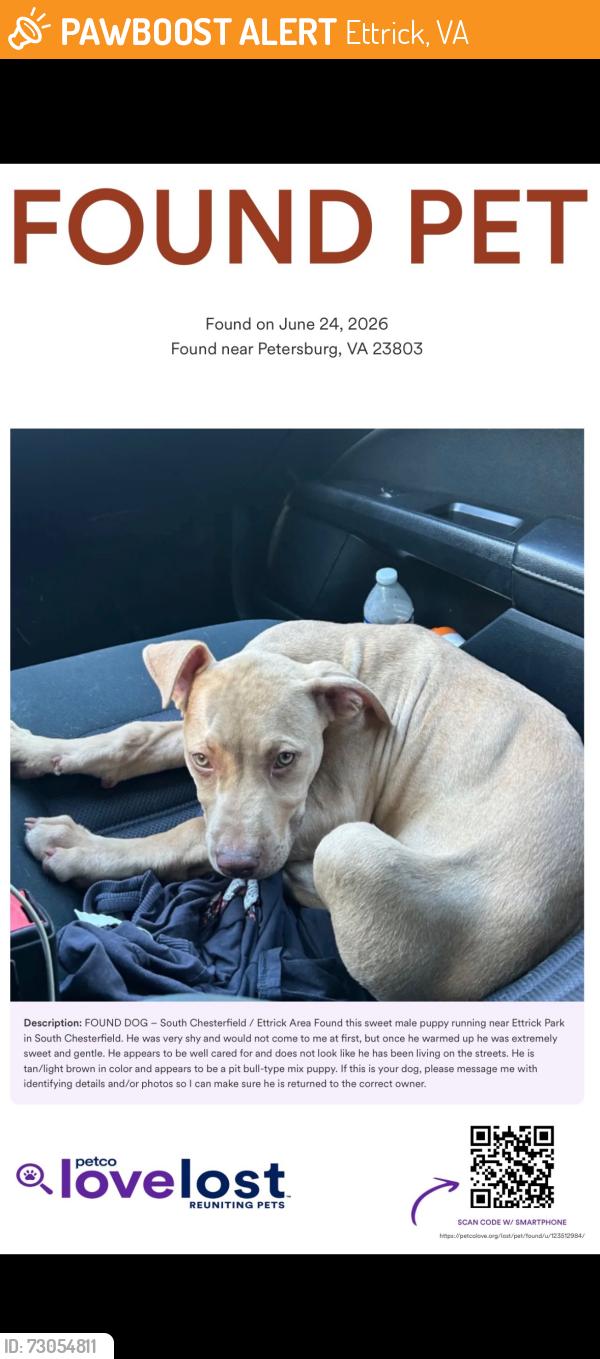Found/Stray Male Dog last seen Ettrick Park, Ettrick, VA 23803