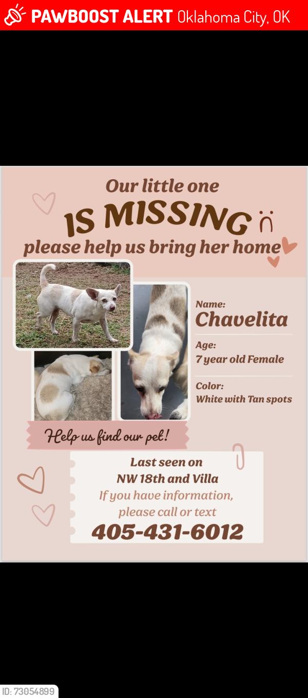 Lost Female Dog last seen Nw 18th st and N Villa Ave, Oklahoma City, OK 73107