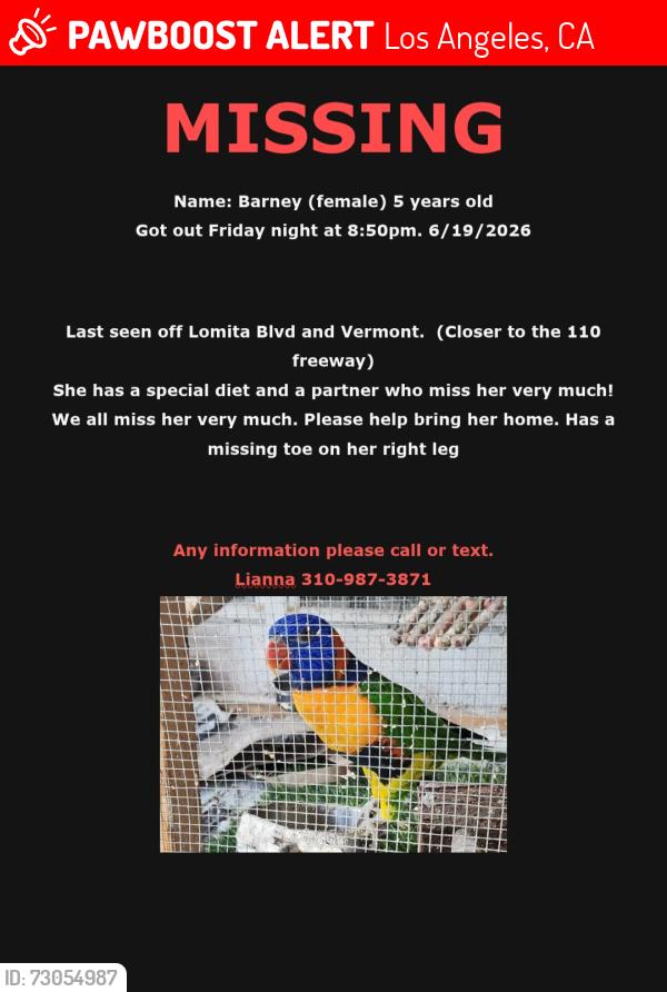 Lost Unknown Bird last seen Vermont and lomita blvd , Los Angeles, CA 90710