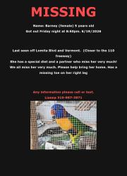 Lost Unknown Bird last seen Vermont and lomita blvd , Los Angeles, CA 90710
