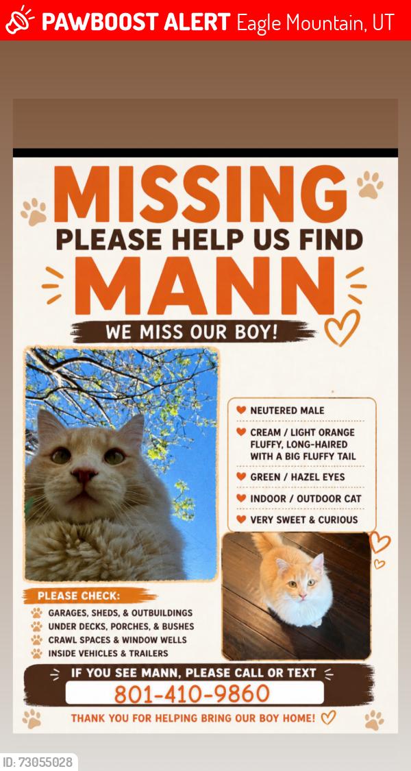 Lost Male Cat last seen Pony express parkway/ridleys/ smith ranch, Eagle Mountain, UT 84005