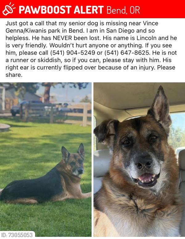 Lost Male Dog last seen Witness said they saw him near Kiwanis Park, Bend, OR 97702