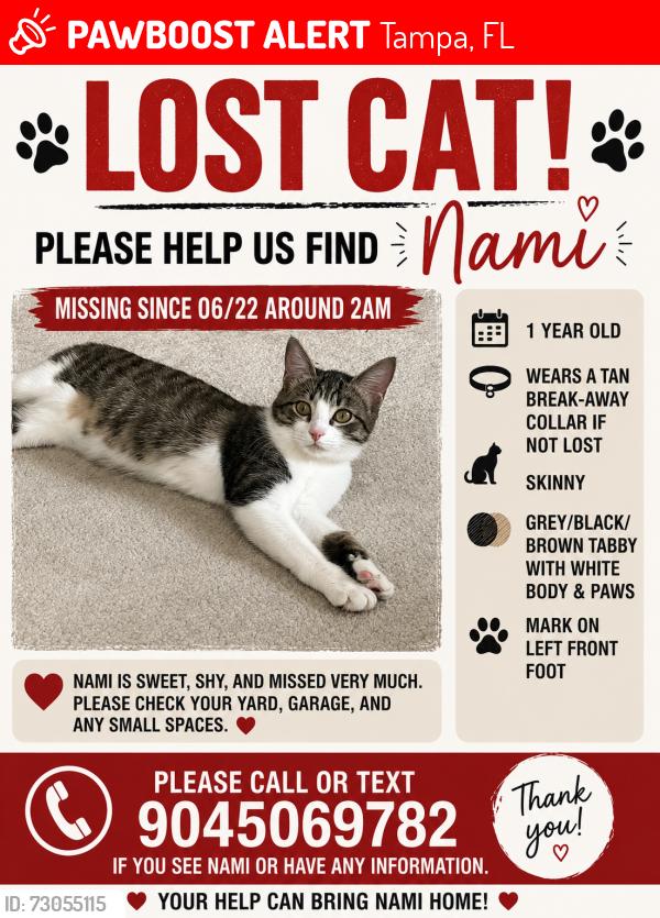 Lost Female Cat last seen S Church Ave, Tampa, FL 33629