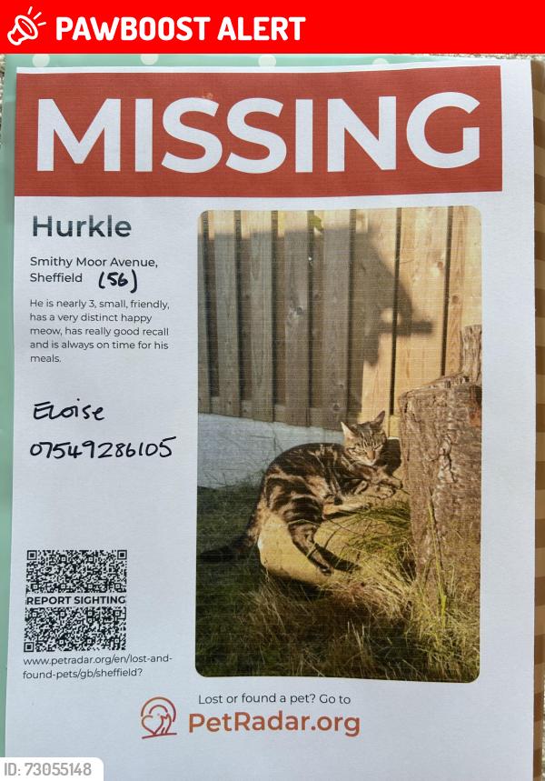 Lost Male Cat last seen Cross Road , Stocksbridge, England S36 1FN