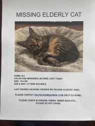 Lost Male Cat last seen Alsdorf/ Crooks/ Gilsam, Rochester Hills, MI 48309