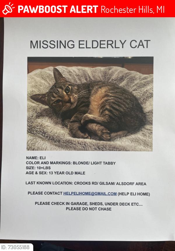 Lost Male Cat last seen Alsdorf/ Crooks/ Gilsam, Rochester Hills, MI 48309