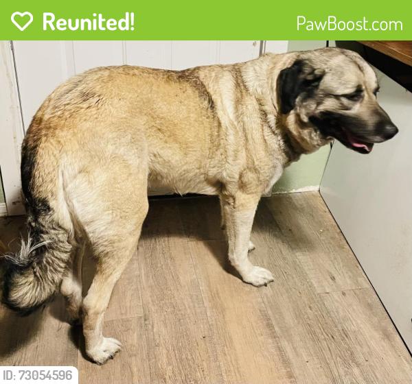 Reunited Unknown Dog last seen Sleater Kenny Road, Olympia, WA 98516