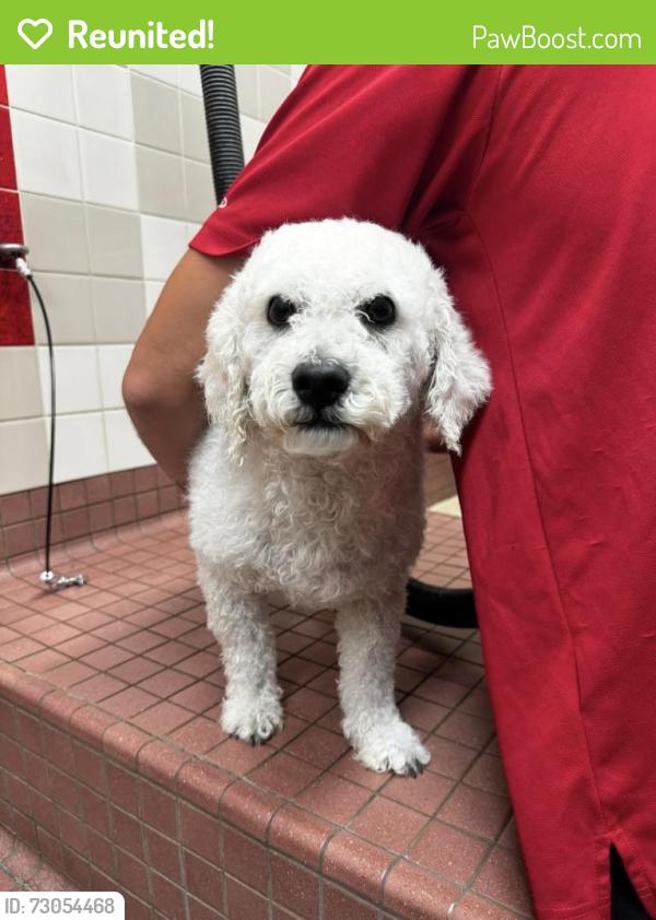 Reunited Male Dog last seen Kooser and Dartmouth , San Jose, CA 95118