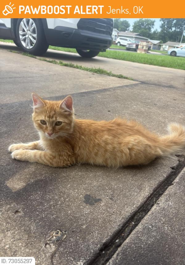 Found/Stray Unknown Cat last seen 21st and 129th, Tulsa, OK 74128