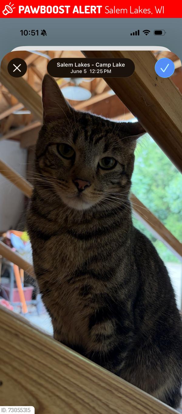 Lost Male Cat last seen Tiffany and Wood Creek, Salem Lakes, WI 53168