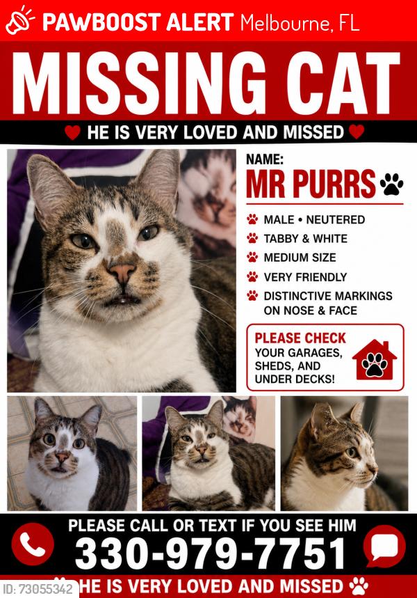 Lost Male Cat last seen James Landing Savanna's and summerset apmt, Melbourne, FL 32935