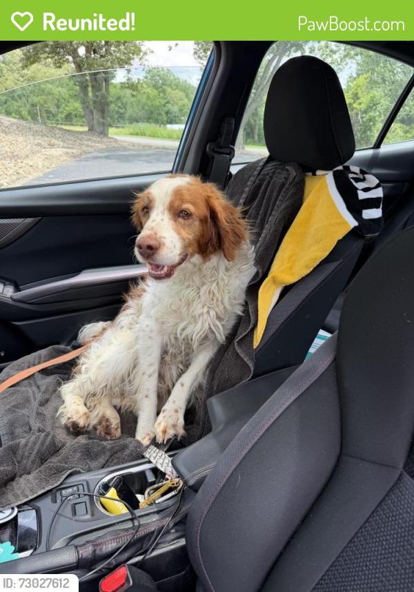 Reunited Male Dog last seen Hixon road 84 Pa , Somerset Township, PA 15330