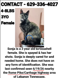 Lost Female Cat last seen alongside Carthage Highway & Rome Pike, Lebanon, TN 37087