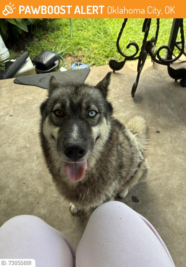 Found/Stray Female Dog last seen 29th st, Oklahoma City, OK 73119