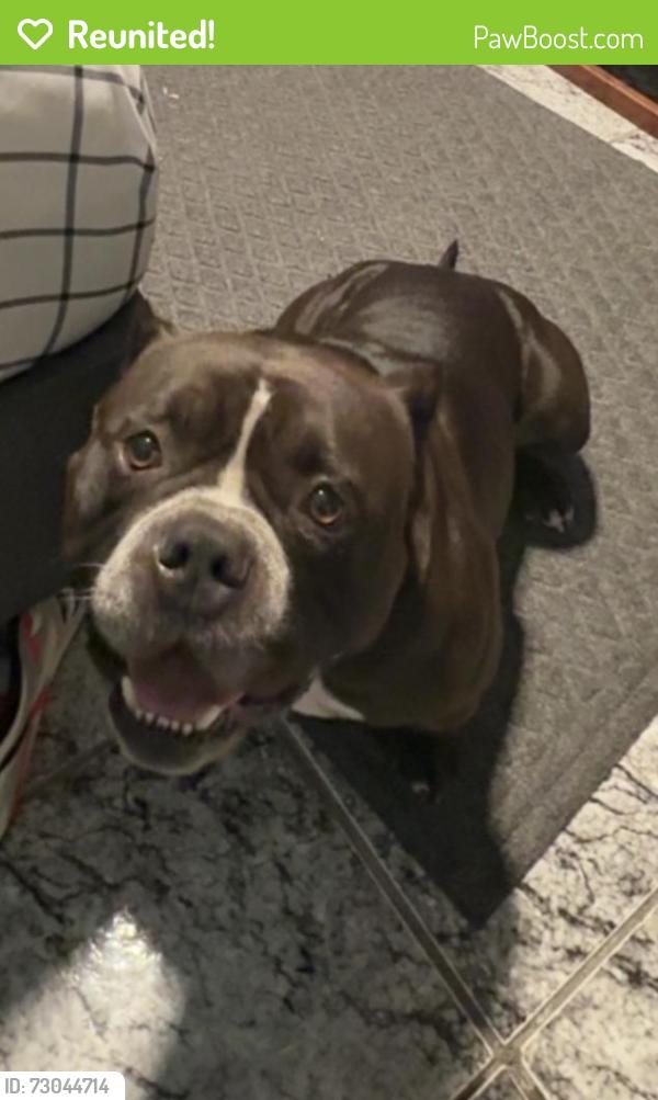 Reunited Male Dog last seen Foresthill blvd and Congress , West Palm Beach, FL 33406