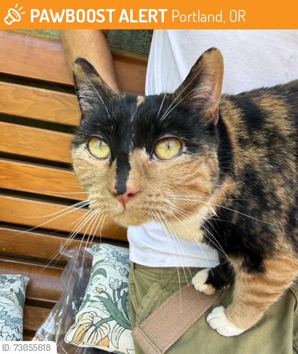 Found/Stray Female Cat last seen Se 36th and Tibbetts, Portland, OR 97202