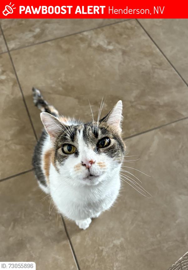 Lost Female Cat last seen Green Valley Plwy and Horizon Ridge, Henderson, NV 89052