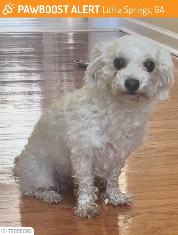 Found/Stray Female Dog last seen Parkside Village Community, Lithia Springs, Lithia Springs, GA 30122