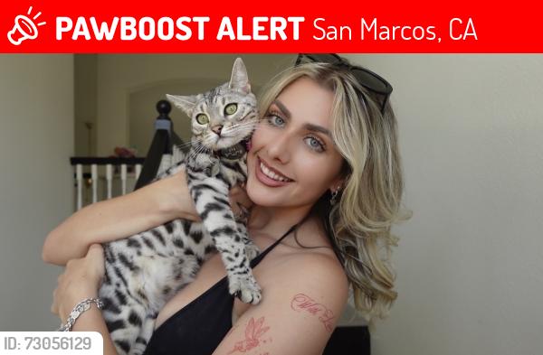 Lost Female Cat last seen Discovery lake , San Marcos, CA 92078