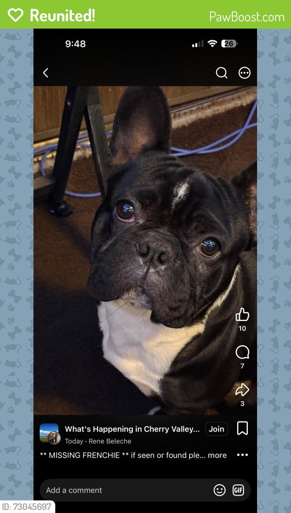 Reunited Male Dog last seen Near Cherry ave, Beaumont, CA 92223